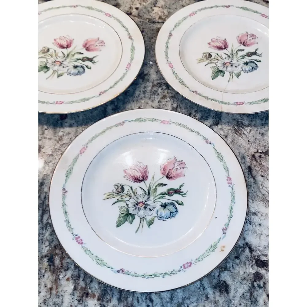 20 Theodore Haviland China New York Garden Flower Dinner Plates Lot Set Vintage